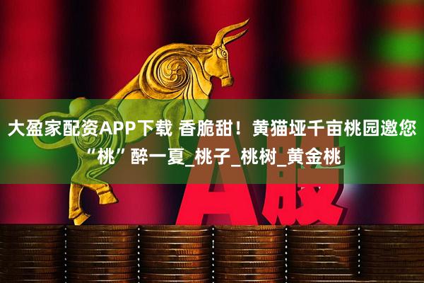 大盈家配资APP下载 香脆甜！黄猫垭千亩桃园邀您“桃”醉一夏_桃子_桃树_黄金桃