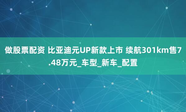 做股票配资 比亚迪元UP新款上市 续航301km售7.48万元_车型_新车_配置