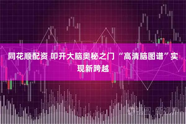 同花顺配资 叩开大脑奥秘之门 “高清脑图谱”实现新跨越